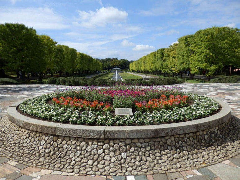 東京都立川市 国営昭和記念公園は家族で楽しめる都内の癒しの観光地