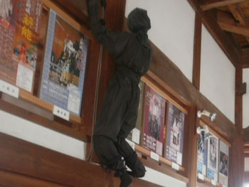 三毛県旅行観光