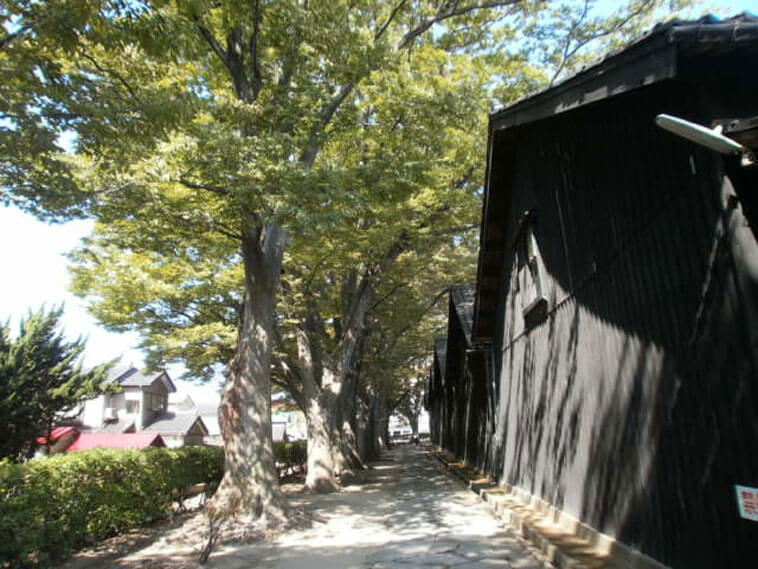山形県旅行観光酒田市居倉庫と欅並木