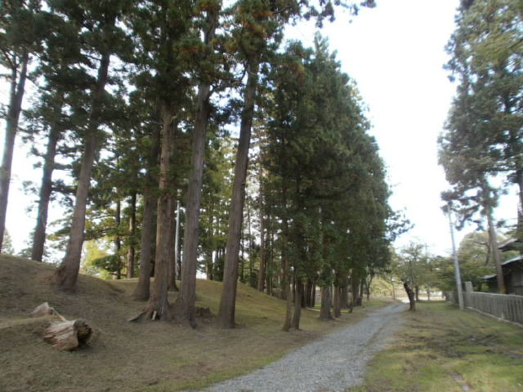 山形県旅行観光鶴岡公園